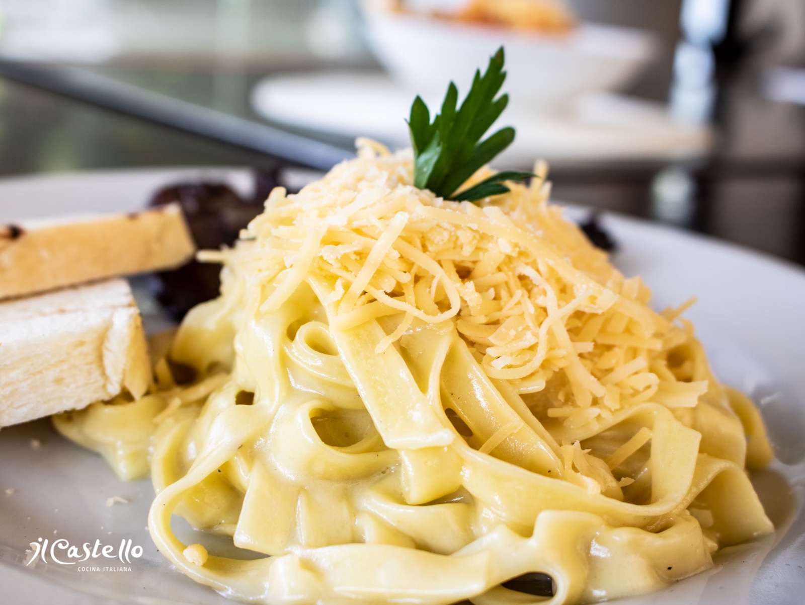 Spaghetti o Fetucccini (Pasta Larga)